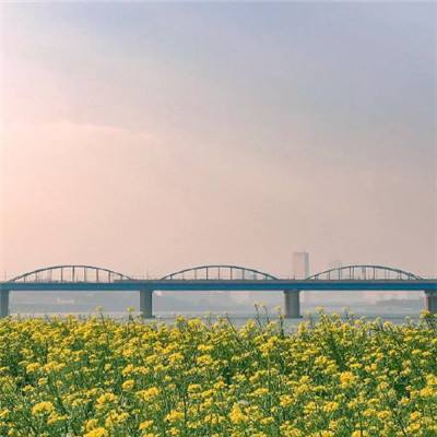 中国水利水电建设工程咨询渤海有限公司2024年春季公开招聘公告