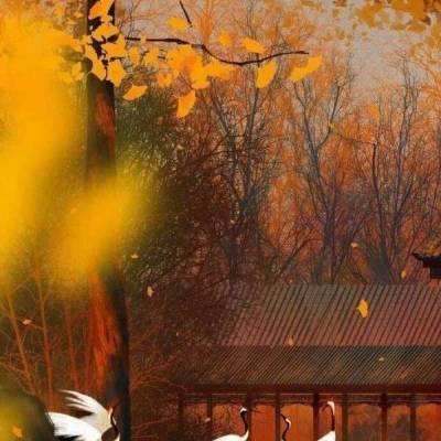 国之瑰宝的上海足迹：宋庆龄故居发起“宋庆龄上海史迹寻踪”